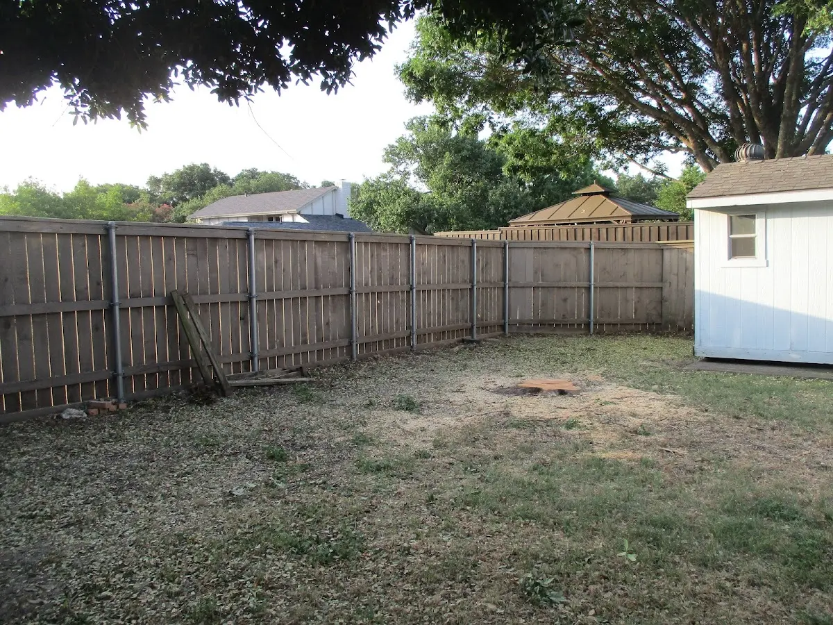 Cleared yard after professional tree removal in Teaberry